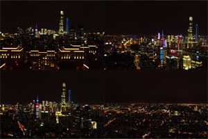 生态保护与上海城市治理的协调发展